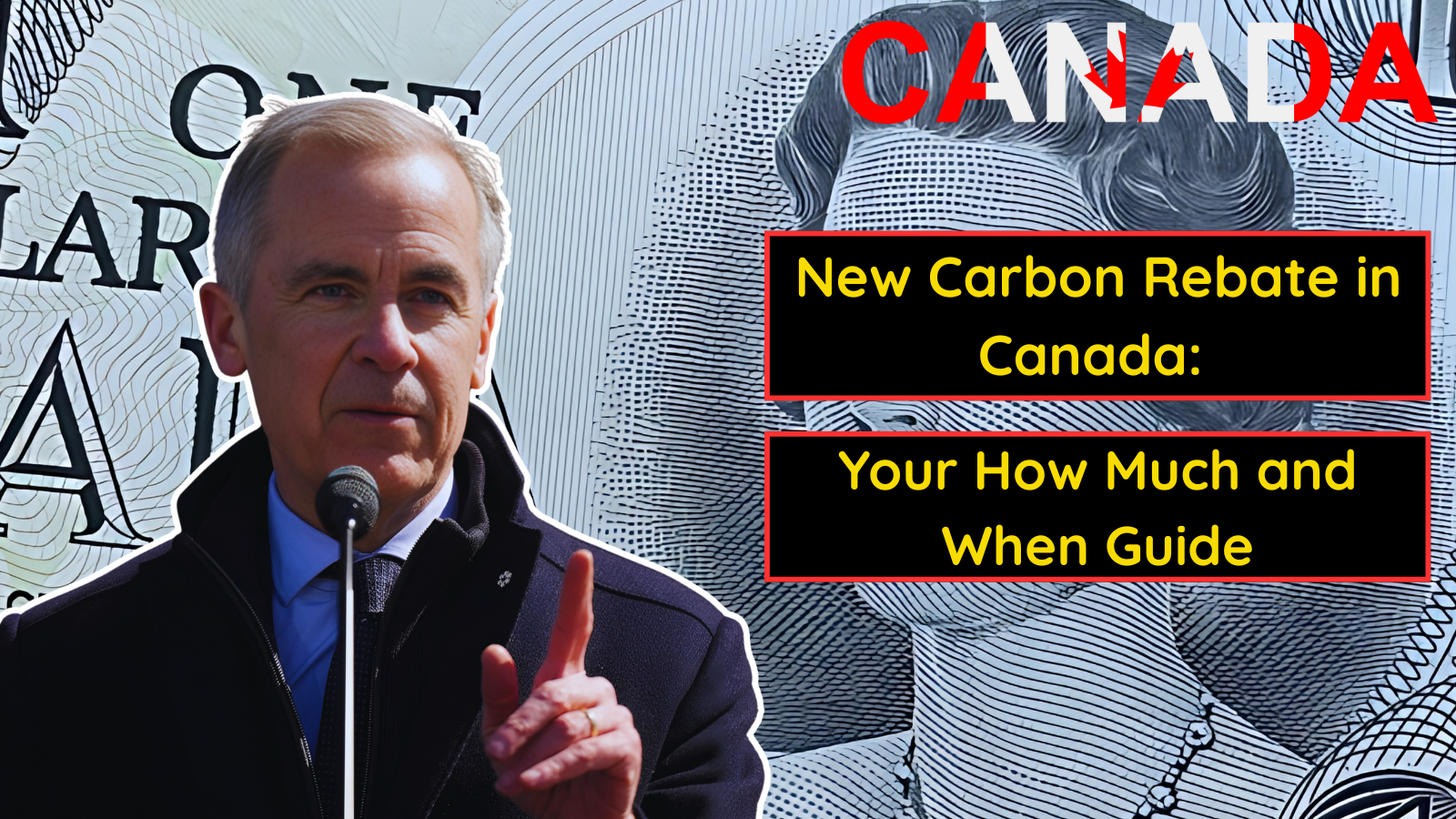 Carbon Rebate